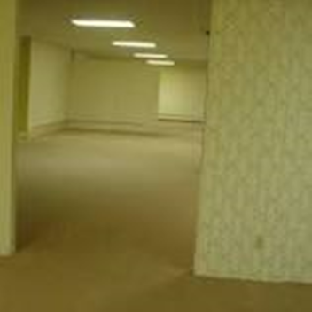 los cuartos traseros