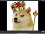 Doge pack of awesomeness!