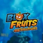 Bloxfruitt Community