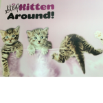I love cats and money and everything! #Awsome😺
