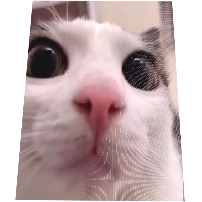 Animated Blinking Cat Cape