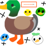Land of Duck