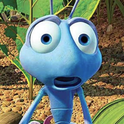 Life Of A Small Ant