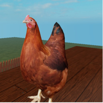 Chicken Land