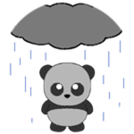 Rainy Panda