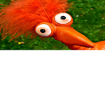 THE CRAZY CHIKENS