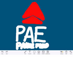 Paine Field Airport