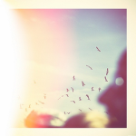 ciel. <3