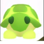 Slider the turtle