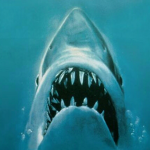Shark byte legends