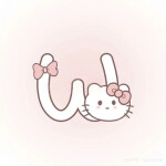 W ≽^• ˕ • ྀི≼