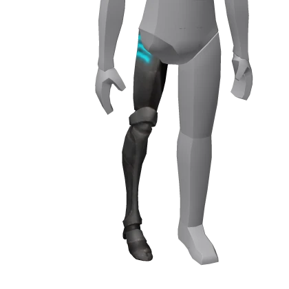 Hoodgeekbx1789's Body's Right Leg | Roblox Item - Rolimon's