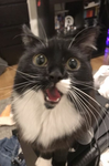 Be A Entertainment