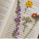 wonderdust <3