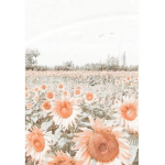 ~|s u n f l o w e r|~