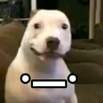 Plata pig :v