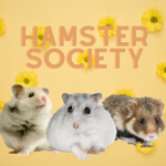 Hamster Society!