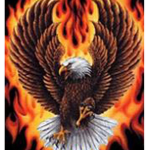 The Burning Eagles.
