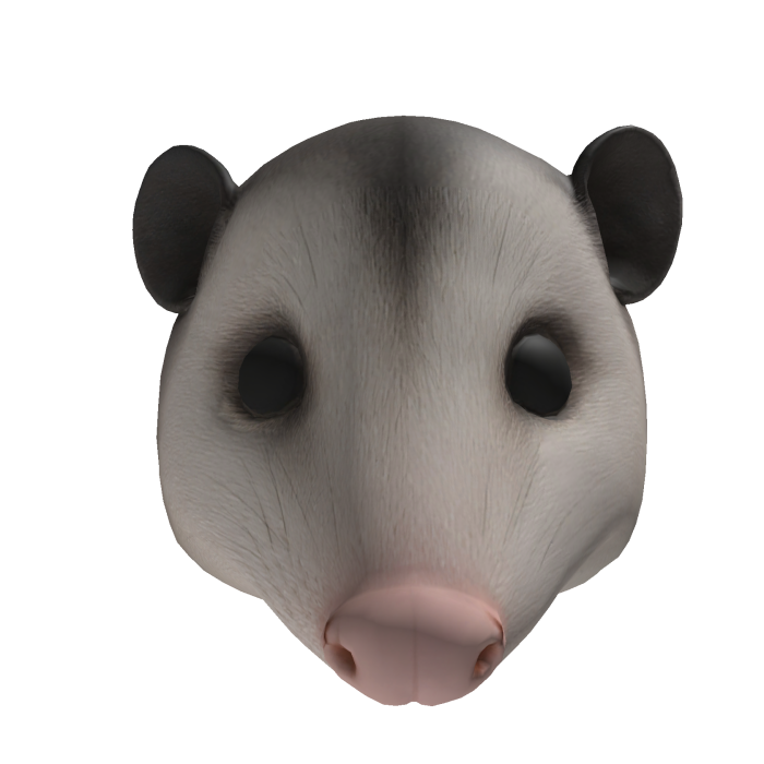 Mouse Head