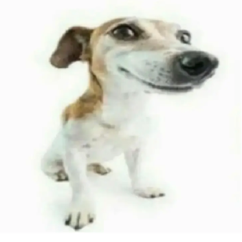 Pablo 🥰