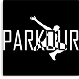 Parkour Del Grupo