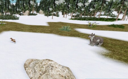 Tundra Game [Legacy]