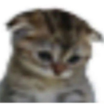 Maciiikk