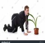 Gubtoeboul