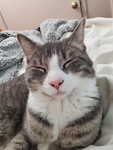 Binky Fanclub