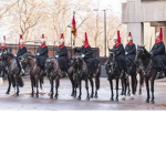Household cavalry fun
