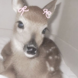 ♡