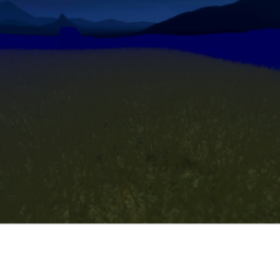 a foggy night. SHOWCASE
