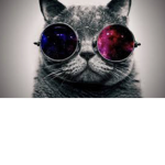 Da booyyss