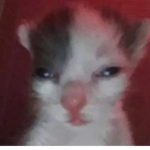 kimiiyEllaa