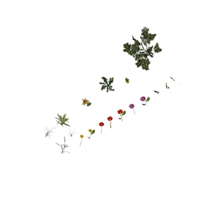 Realistic flowers