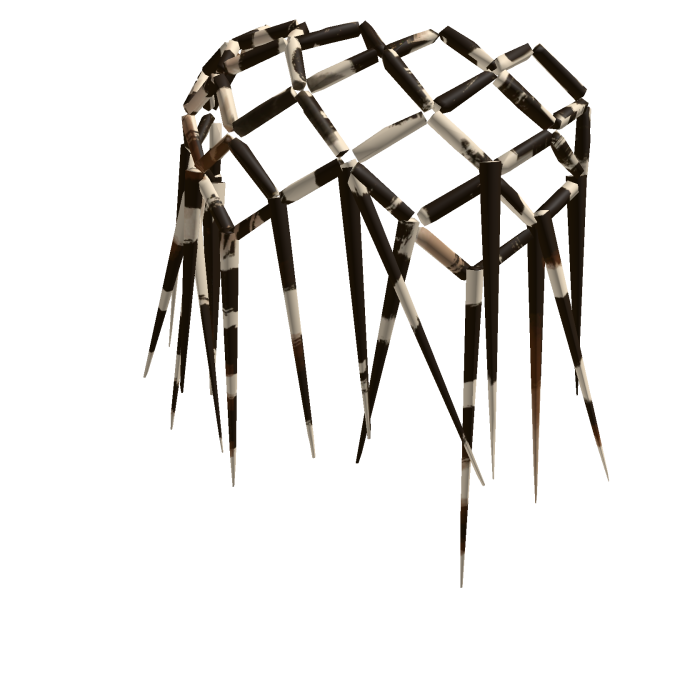 headband porcupine quills