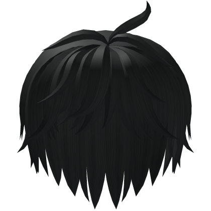 Black Messy Curly Hair 2.0 Roblox item