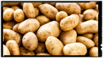 Potato Army/Kingdom!