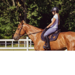 Riverdale stables