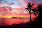 SunSets Hangout