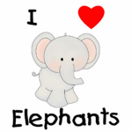 WE LOVE ELEPHANTS