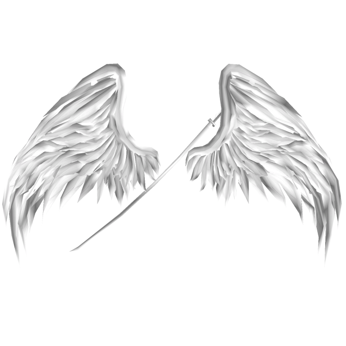 Asas de Anjo Branco & Katana