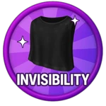 Invisibility Cloak