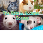 Rats and Rodents Society