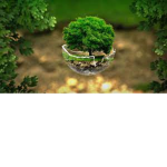 -*- stay green -*-