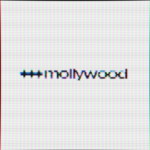 +++ mo11ywood