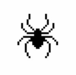 KRAZY SPYDER