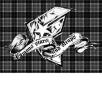 famous skate team