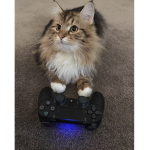KittyKatsKoolGames