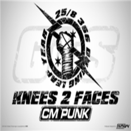 CM Punk 2013 Shirt Roblox decal